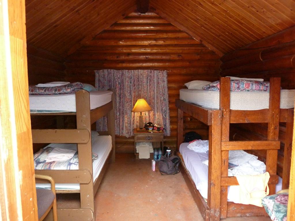 Inside a cabin at the Lazy Lizard Hostel